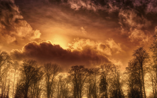 914693 (a): :2560x1600